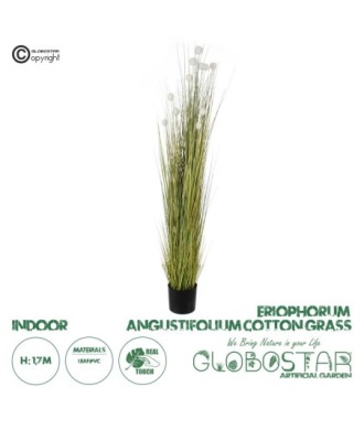 GloboStar® Artificial Garden ERIOPHORUM ANGUSTIFOLIUM COTTON GRASS 20074 Τεχνητό Διακοσμητικό Φυτό Γρασίδι του Βαμβακιού Υ170cm